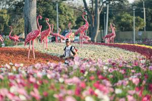 BIB: 
                            <button type="button" onclick="openModal(27344122)" class="btn btn-primary btn-sm float-right btn-popup" data-toggle="modal" data-target=".modal-high-quality">
                        <i class="fas fa-shopping-cart"></i> Add to Cart
                    </button>
                                            <button type="button" onclick="isThisMe(27344122, true)" class="btn btn-success btn-sm float-right btn-popup btn-isme hidden" data-toggle="tooltip" data-placement="bottom" title="นี่คือรูปของคุณใช่ไหม คลิกที่นี่เพื่อเอาเข้าอัลบั้ม">
                        <i class="fas fa-plus"></i> Add to album
                    </button>
                    <button type="button" onclick="isThisMe(27344122, false)" class="btn btn-warning btn-sm float-right btn-popup btn-isnotme hidden">
                        <i class="fas fa-ban"></i> Remove from album
                    </button>